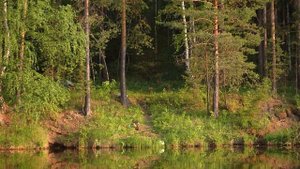 На рыбалке с ночевкой