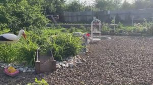 ВЛОГ / НИЧЕГО ОСОБЕННОГО / ДАЧНАЯ СУЕТА / ПРОГУЛКА С ПРИКЛЮЧЕНИЯМИ / ЛЕНТА И ПОКУПКИ