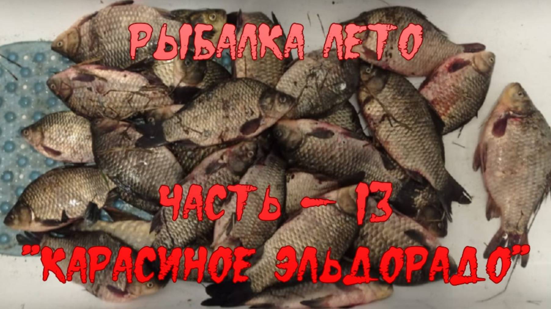 Рыбалка Лето. Часть - 13. "Карасиное эльдорадо".
