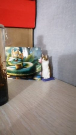 Мои водросли