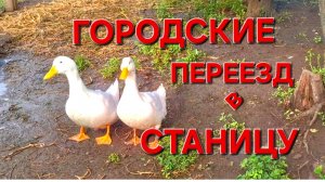 554 🏠 Переезд из города в станицу на Кубани Сегодня 9 месяцев как мы переехали в Усадьбу на Кубани