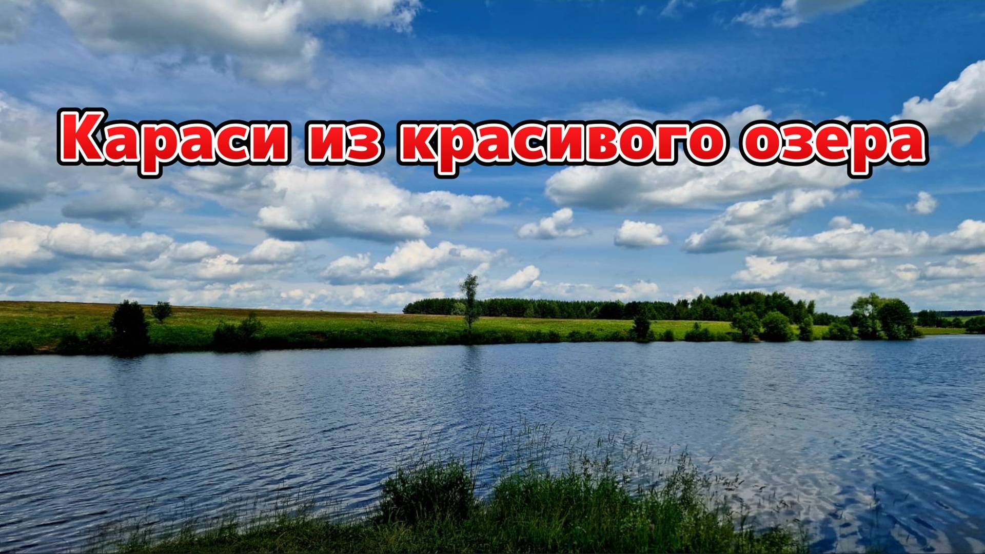 Хорошо отдохнули и наловили карасей с друзьями на красивом озере