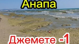 Пляж полон крокодилами.