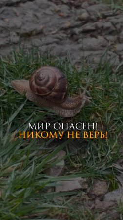 Мир опасен! Никому не верь!