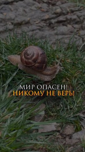 Мир опасен! Никому не верь!