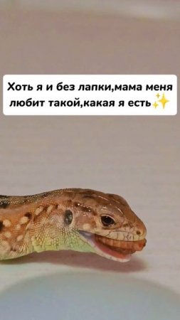 Она такая милая❤️🥹