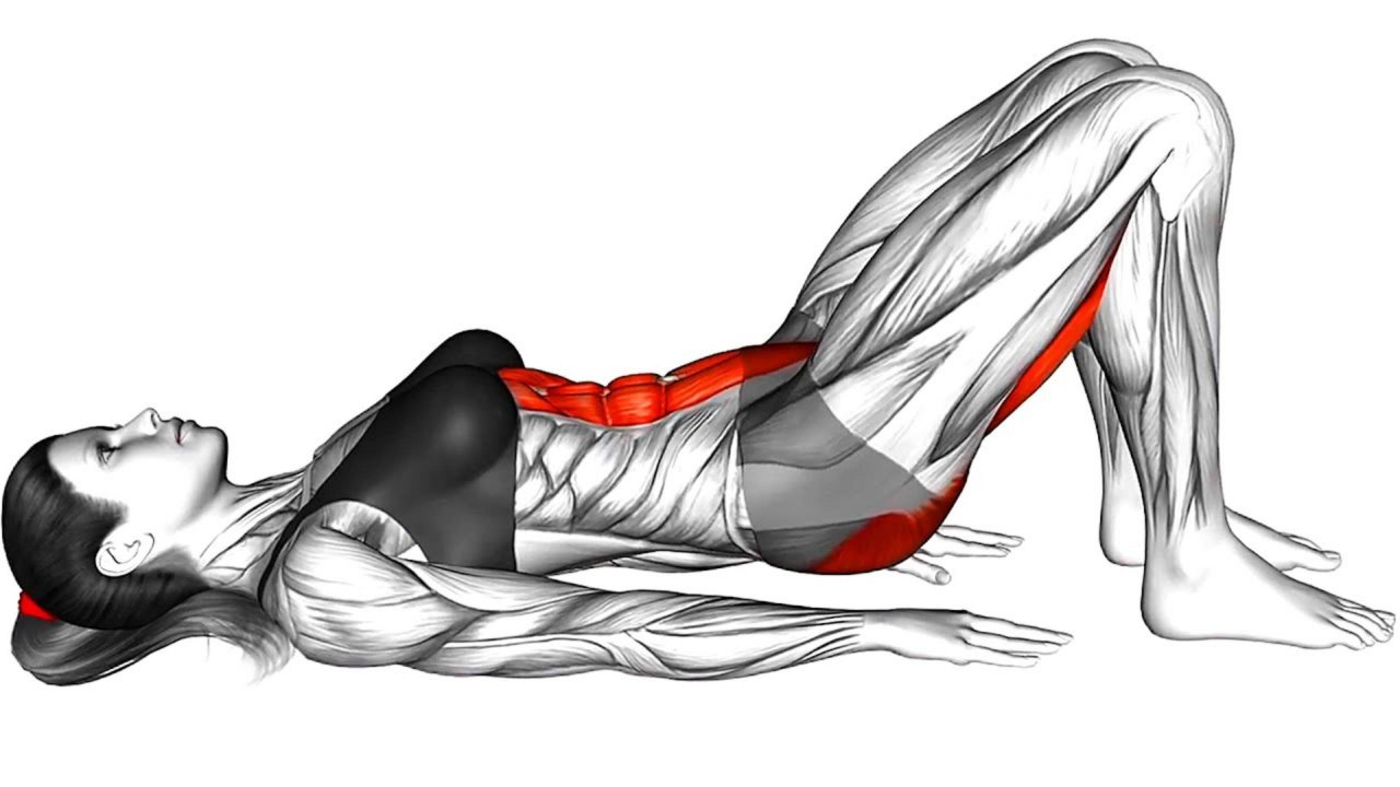 Ежедневная Растяжка: внимание к Гибкости