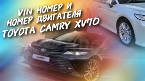 Toyota Camry xv70 VIN номер и номер двигателя #а30автоподбор