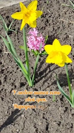 Не упусти свой шанс