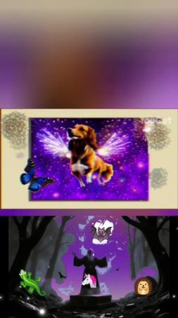 YouCut_20250614_005411928.mp4