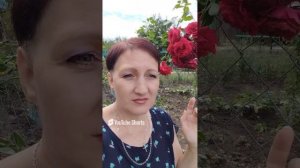 Как быстро успокоиться?