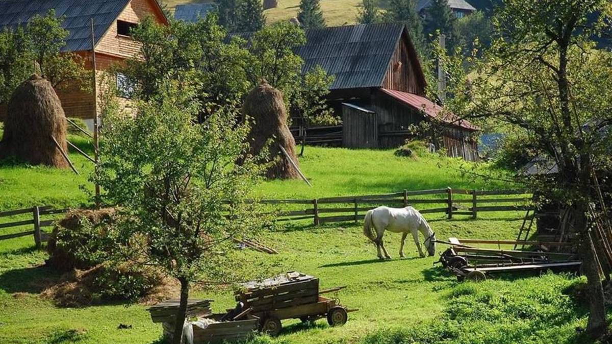 Швейцария. Сельская местность.- расслабляющая прогулка по самым красивым местам