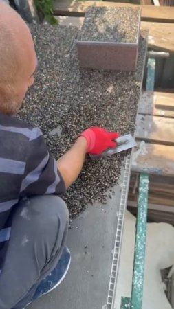 VID-20250620-WA0031.mp4