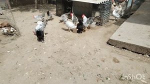 Что происходит летними деньками? Жизнь на юге.