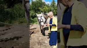 Девиз жизни
