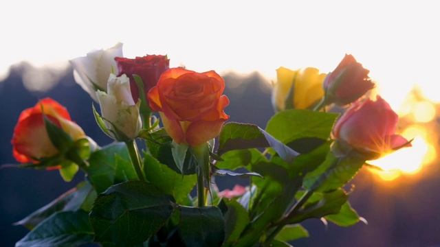 22 июня - Кармический портал. Строим свою судьбу.