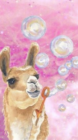 Верблюд & Лама 🐪🦙