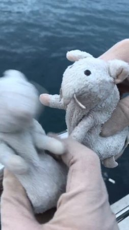 Мышка Дудень пытается выучить скороговорку. Смешное видео для детей