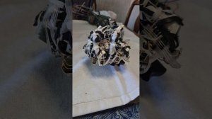 Полное видео, где роборука показывает всем кулак😁✊️🤛👊🔥😉
#робот #роботы #роботостроение