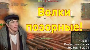 Волки позорные! Т-100 ЛТ. Рыбацкая бухта. 20250516 2321.