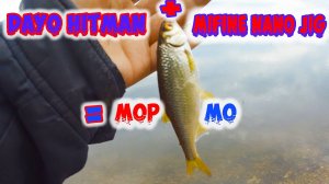 Мормышинг. СОЕДИНИЛ DAYO HITMAN и MIFINE NANO JIG! Вышло вот так: