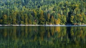 Краски осени 22