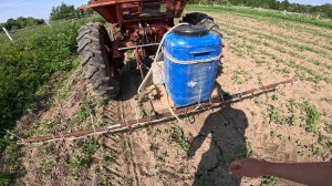 Сделал самодельный опрыскиватель! Проверяю на картофельном поле на тракторе Т-25!