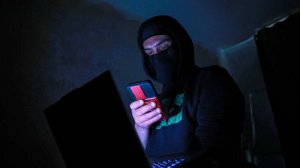 В Совфеде обозначили самые популярные способы мошенничества в интернете