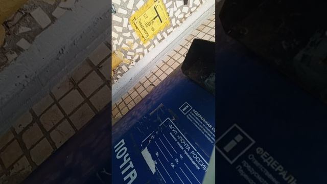 Кривцово номер 1