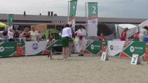 Бетэльгейзе Лаэрс Соната