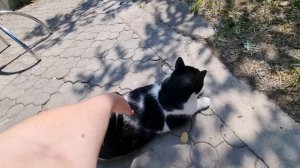 Крым. Посёлок Молодёжное, благоустройство