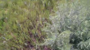 Покатушки на природу №38.😊