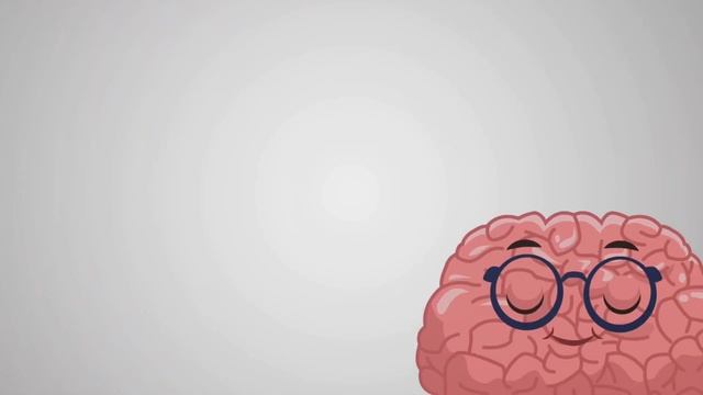 Как привычки формируют наш мозг и влияют на повседневную жизнь.