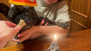 Краш выбрался на Природу в День Рождения