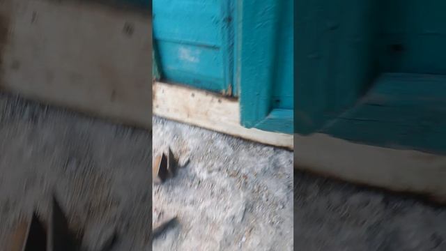 СТРОИТЕЛЬ ОТ БОГА 😁😄😉.mp4
