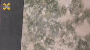Женщина купила кровать в Ascona за 100 тыся ₽,а она через 3 месяца покрылась плесенью.