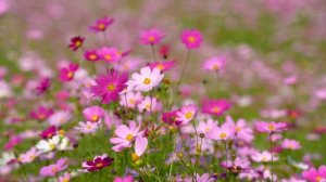 Краски осени 5