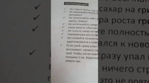 #Чайный гриб # Индийский морской рис # Часть 1