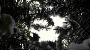 Почему ученые боятся этой комбинации звуков и образов - We Made It -- Kirk Osamayo -- Season Two (OR