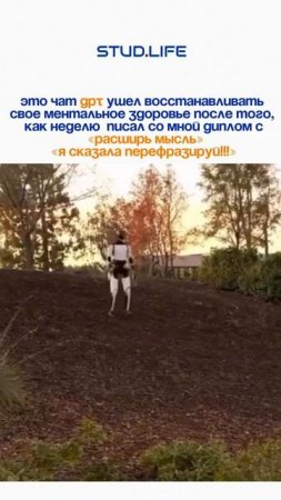 Дорогой дневник ✍🏼✍🏼✍🏼