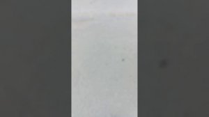 что мы нашли мороженое с шариками 😳😳😳