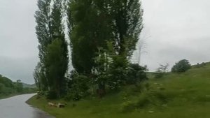 Горы, дождь, дорога.