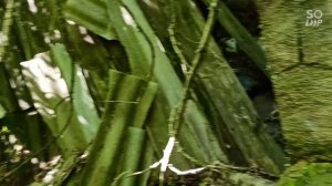 поиск находок в мусорных местах.