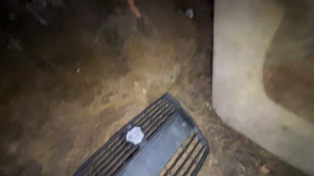«ТАЙНАЯ ЗЕМЛЯНКА В ЛЕСУ: Что я Нашел Внутри? Заброшенная Находка Глубоко в Чаще!»