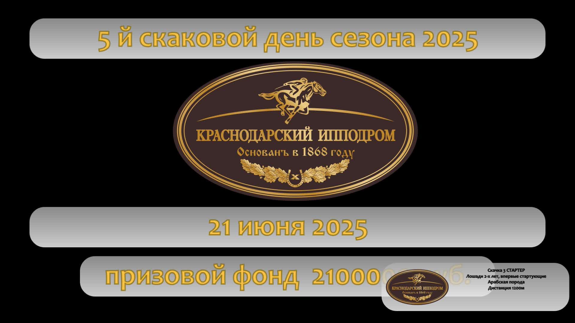 Большой приз ОКС для кобыл арабской чистокровной породы