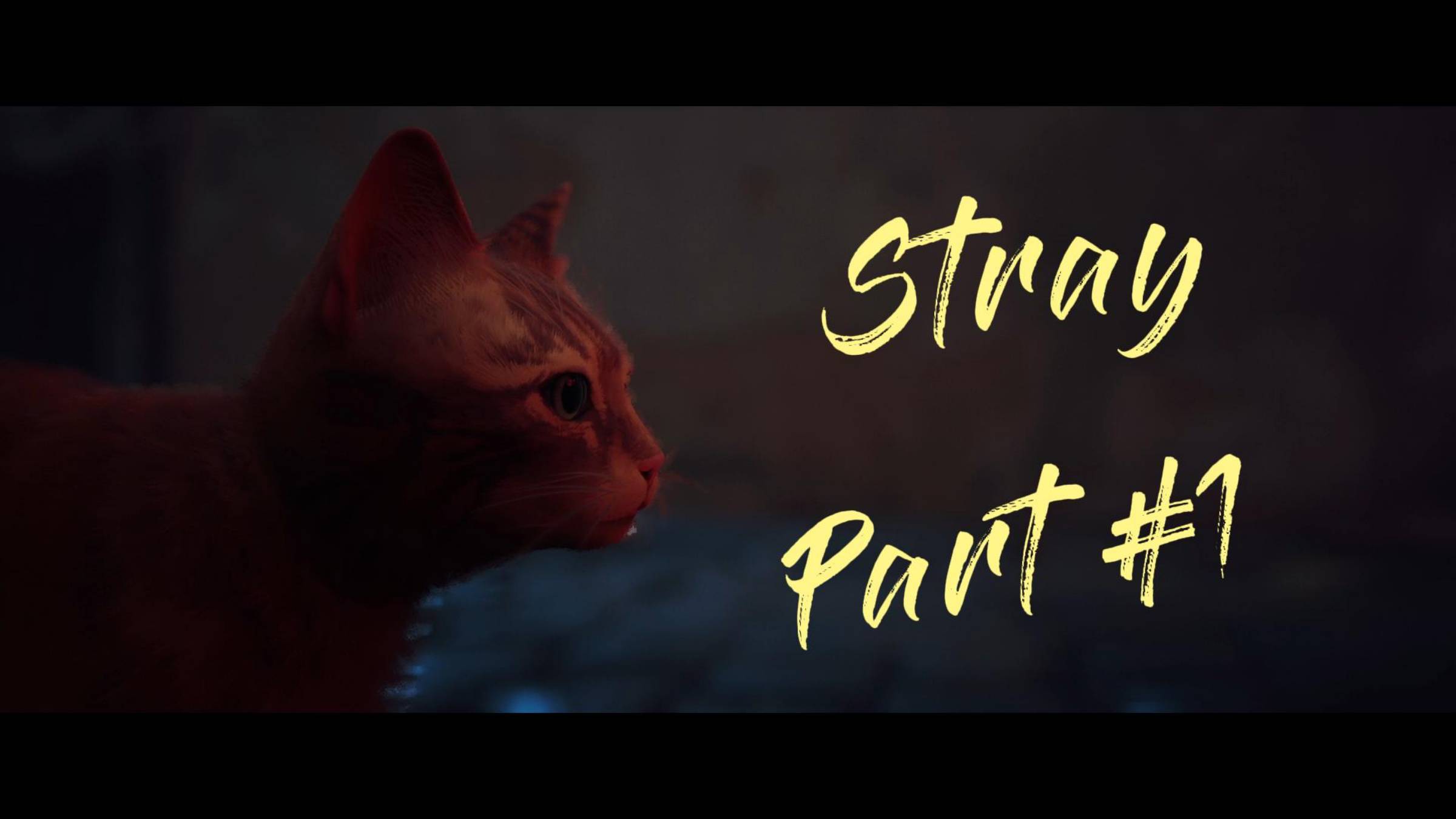STRAY|Попал в канализацию|#1