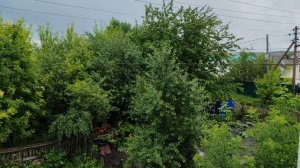 Деревенская природа, дождливый и пасмурный деревенский день