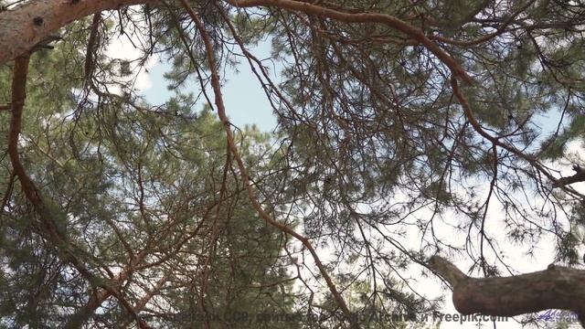 Кадры, которые восстановят ваше зрение - удивительно! - A Pleasant Afternoon -- Kirk Osamayo -- Seas