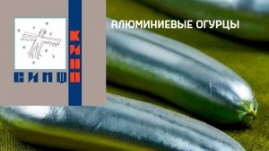 СимфоКИНО - Алюминиевые огурцы | Кавер