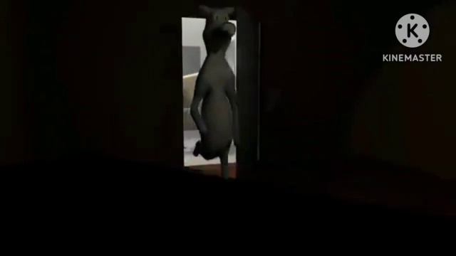 Союз.экзе (Eve ƒe nɔnɔmetata)